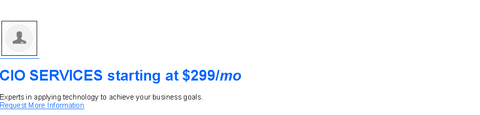 Text Box: ￼CIO SERVICES starting at $299/moExperts in applying technology to achieve your business goals.
Request More Information
